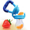 Feeding Safe Fruit Feeder - Random Color