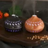H20 LEAF HUMIDIFIER (Random Color) - Image 3