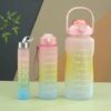 BPA-Free Frosted Gradient Ombre Jugs (2L