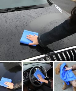 Clean Cham Absorbant Car