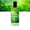 Citrus Punch Fragrance | 50ml | Inspired by Aventus Creed | Long Lasting 8–10 Hours | Made in Pakistan - Image 3