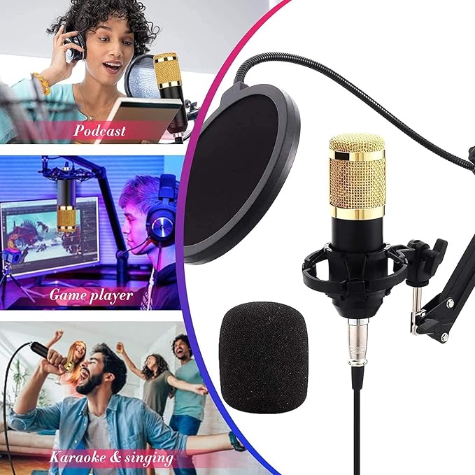 condenser Microphone With Rechargeable 12 Kinds Of Auxiliary Background For Karaoke Singing
