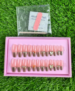 24 Pcs Blush Butterfly Nails (with glue )
