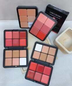 Trendy Carla Secret Cream Concealer & Blush Pallet