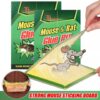 Mouse and Rat Glue Board (Book Type) - Image 3