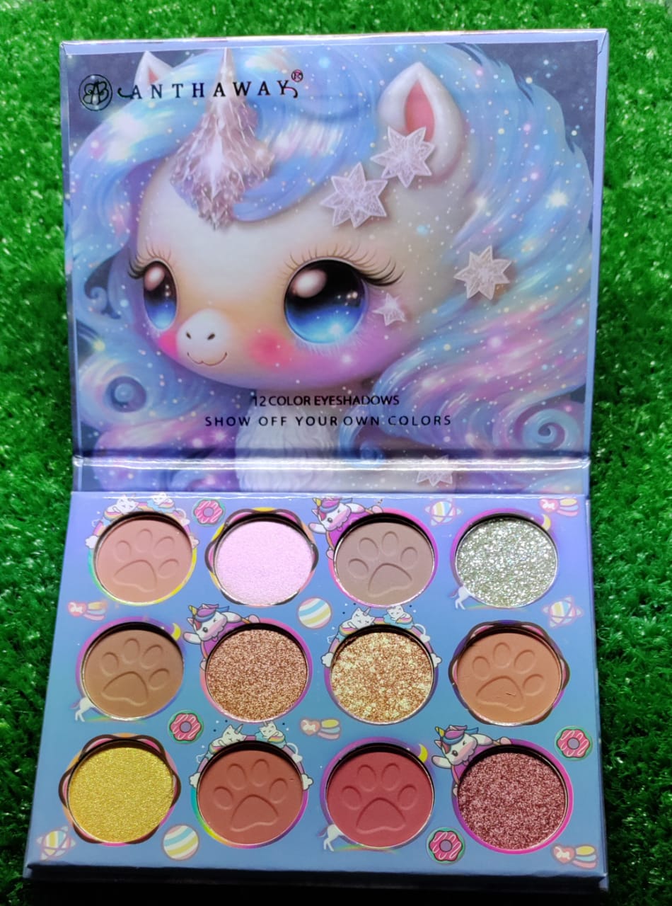 Matte and Shimmery eye palette eye makeup for all girls