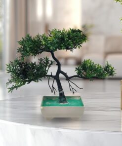 Pack Of 3 Bonsai Trees