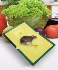 Mouse Glue Trap – Strong Adhesive Rat Glue Board & Rodent Catcher Mat ( Pack of 5 )