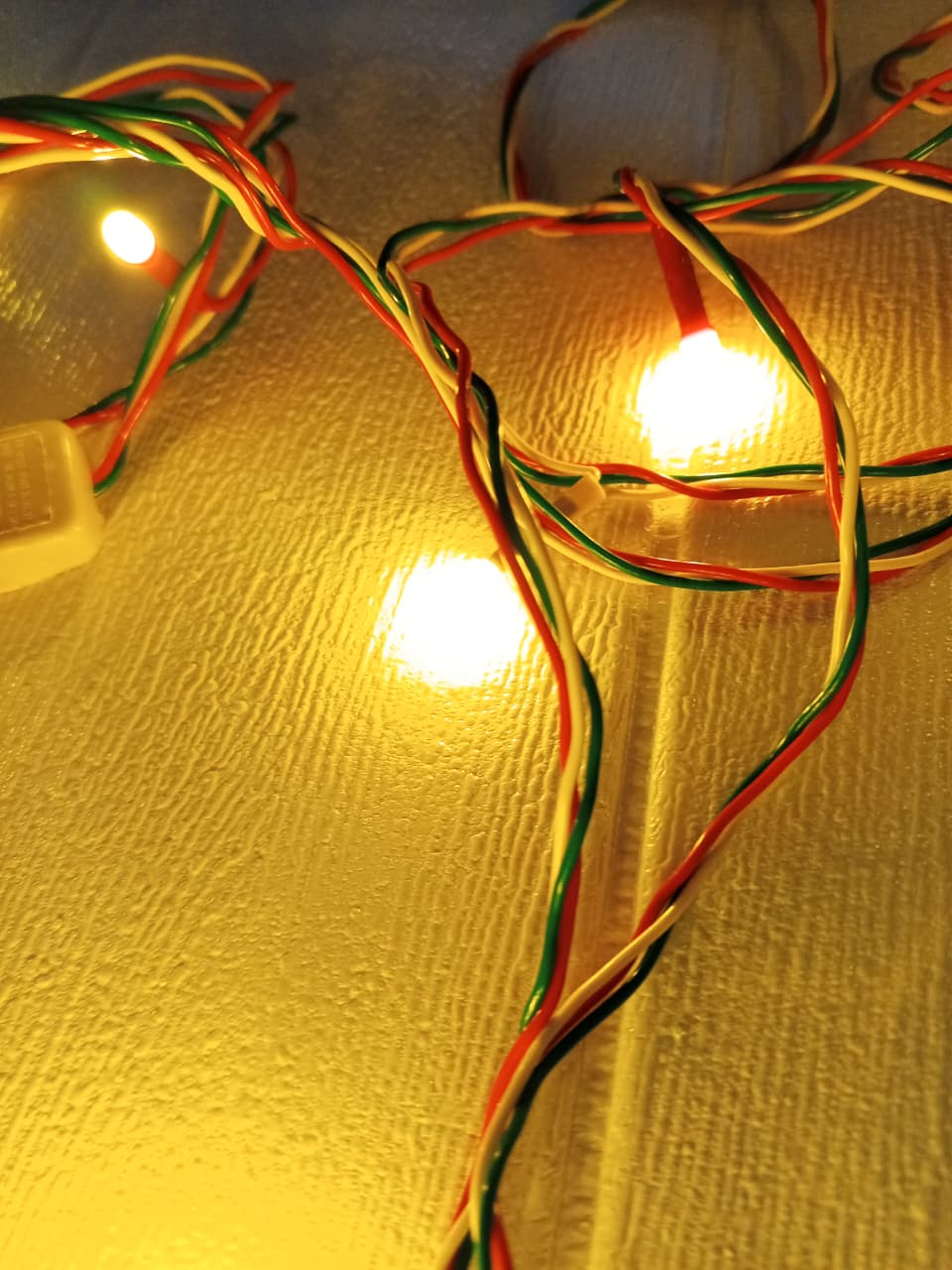 Festive Occasion
