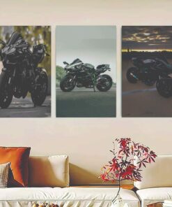 Set Of 3 Ninja H2R bike Sticky Canvas Frames For Wall Decore / Sticky Phototiles