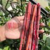 Flormar Perfect Lipliner – Long-Lasting & Intense Color | Smooth Application | Pack of 12 Shades - Image 3