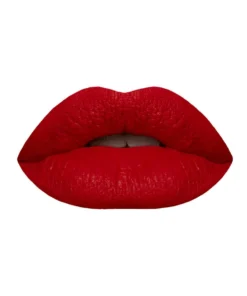 (Pack of 6 ) Crazy Girl Ice cream Matte Lipgloss