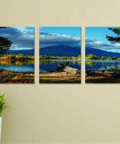Set of 3 nature wall art phototile frame