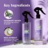 Bare Anatomy Rosemary And Rice Water Hair Growth Spray Boosts Thickness Controls Hair Fall 200Ml - Image 3