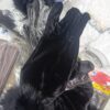 Women's & Girls Black Winter Velvet Gloves with Fur Cuff – Warm Soft Hand Gloves (1 Pair) - Image 5