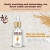 Rice Skin Beauty Essence Anti Wrinkle Aging Serum 15ml - Image 3