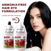MOKERU Professional Apple Hair Dye | Natural Black Hair Color 500ml + 500ml - Image 2