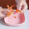 Plate Set Pack of 10 – Plastic Split Bone Dish Plates with Holder (Random Colors) - Image 2