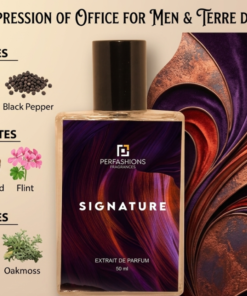 Signature – Our Own Creation | Woody Citrus Extrait de Parfum for Men | 50ml with Premium Box & Carry Bag